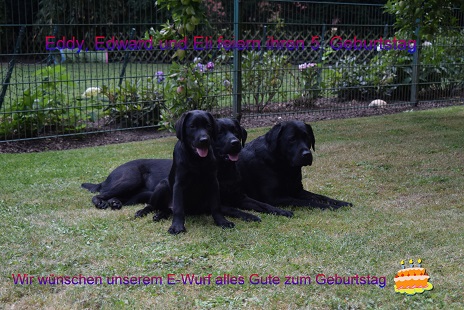 DSC_0209 - Kopie.jpg